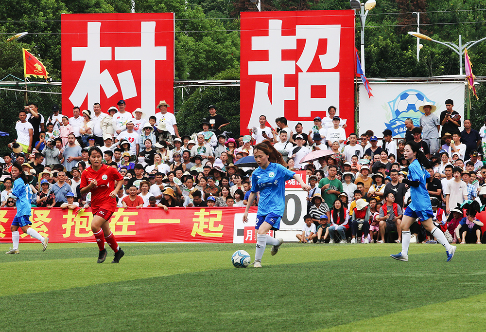 供丰富的 供丰富的