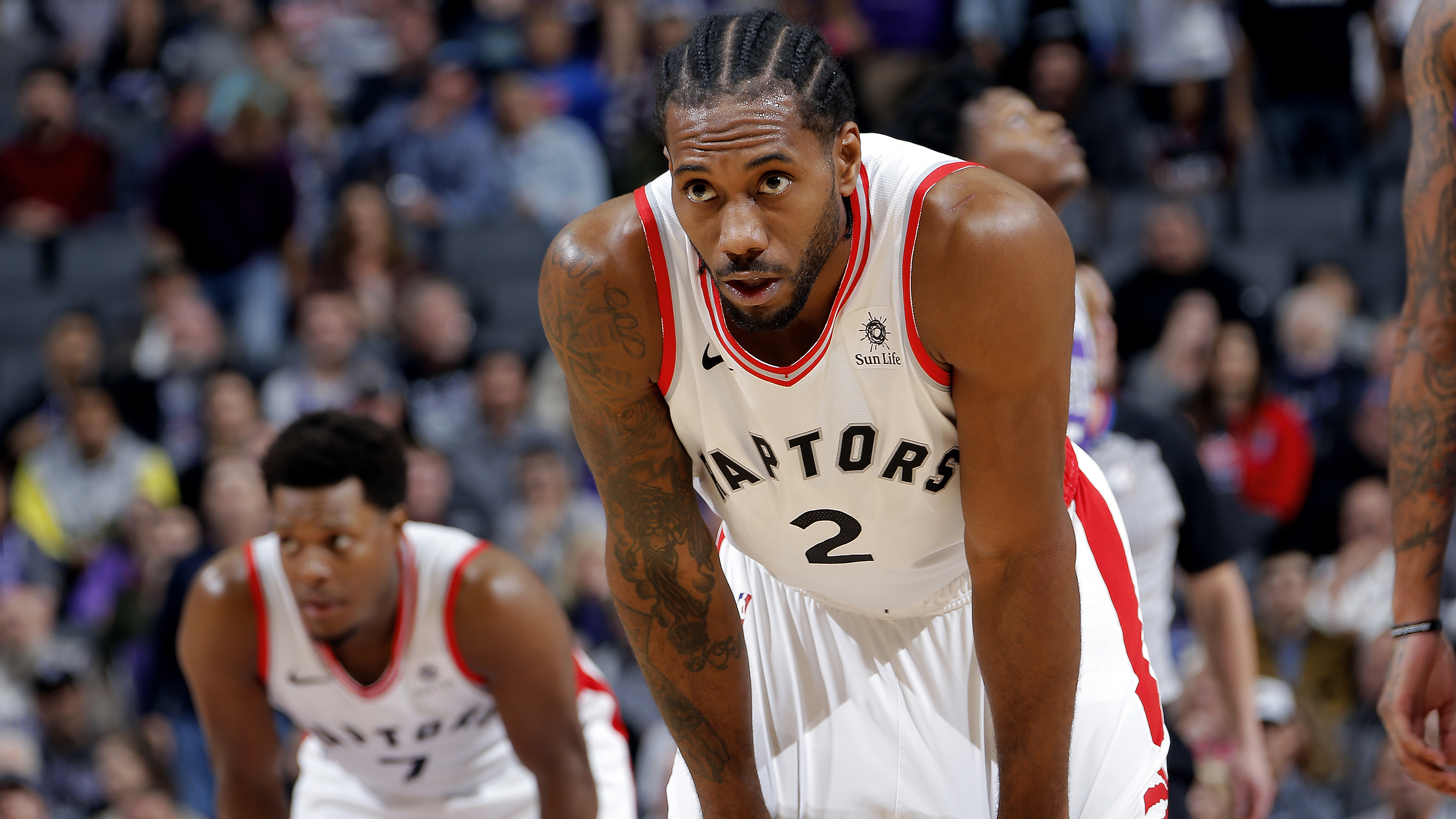 个可复制 个可复制