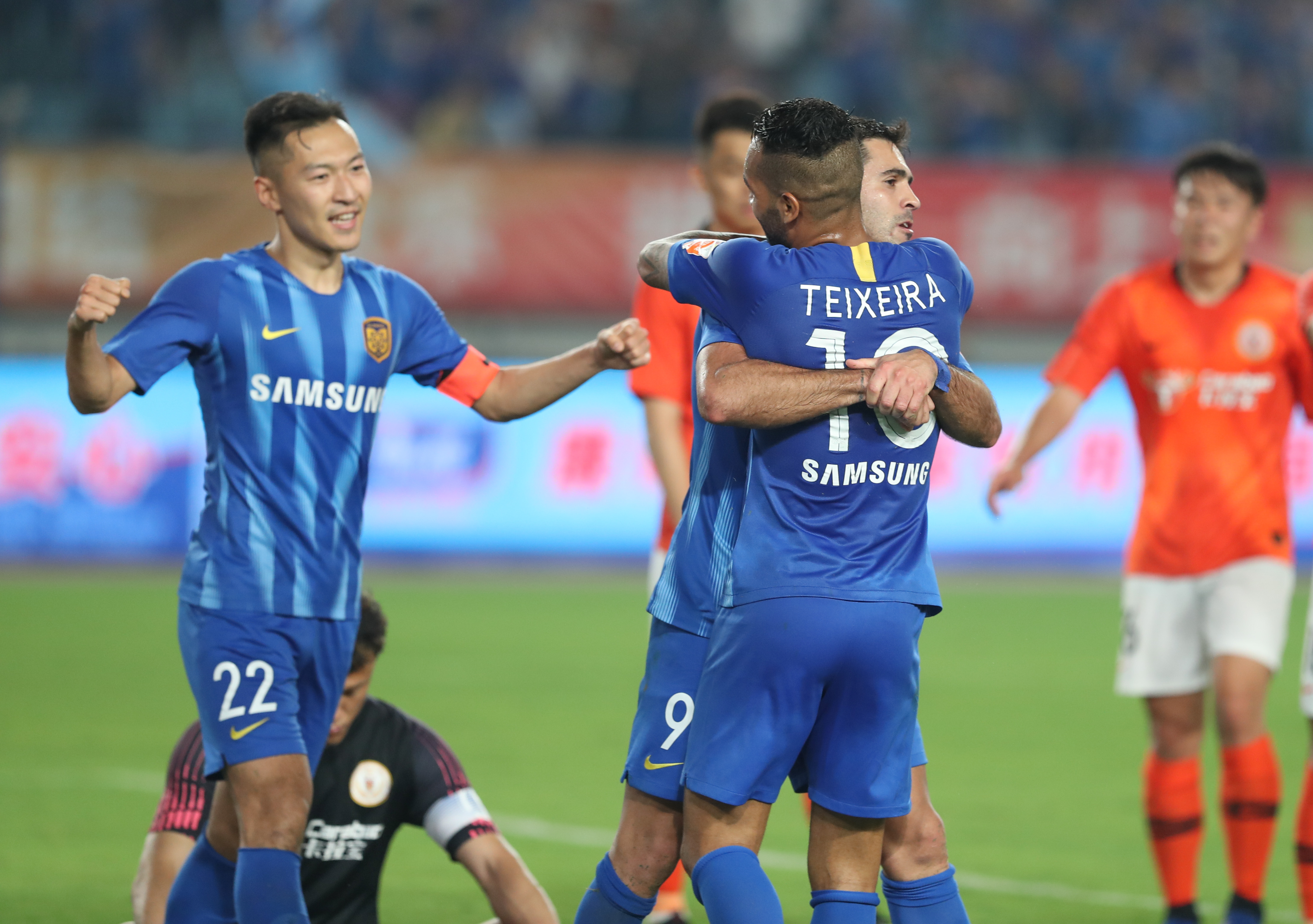 鹈鹕的四节 鹈鹕的四节